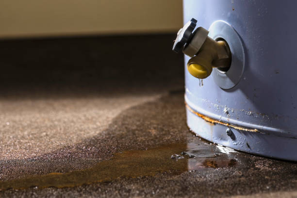 Best Water damage contractors near me  in Pine, AZ