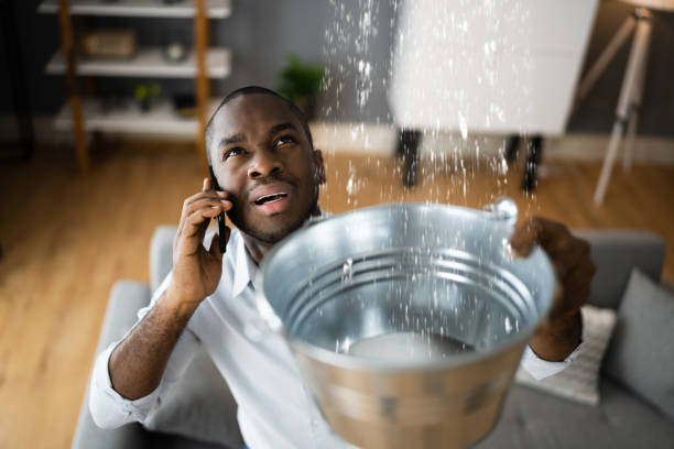 Trusted Pine, AZ Water damage restoration Experts