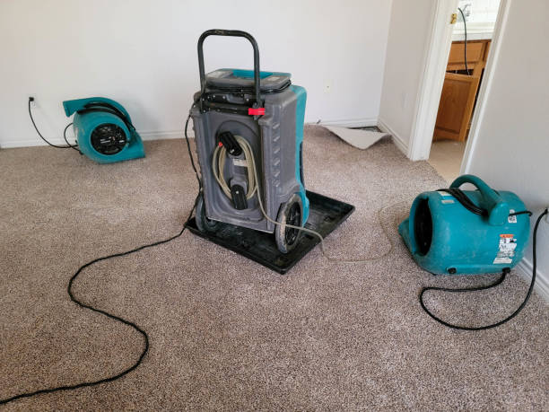  Pine, AZ Water damage restoration Pros
