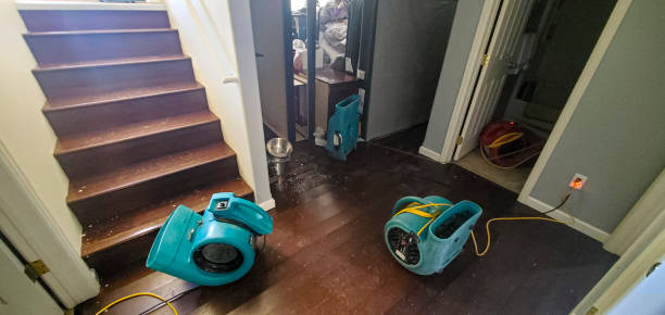 Best Sewage cleanup and water damage restoration  in Pine, AZ