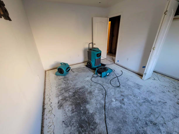 Best Residential water damage restoration  in Pine, AZ