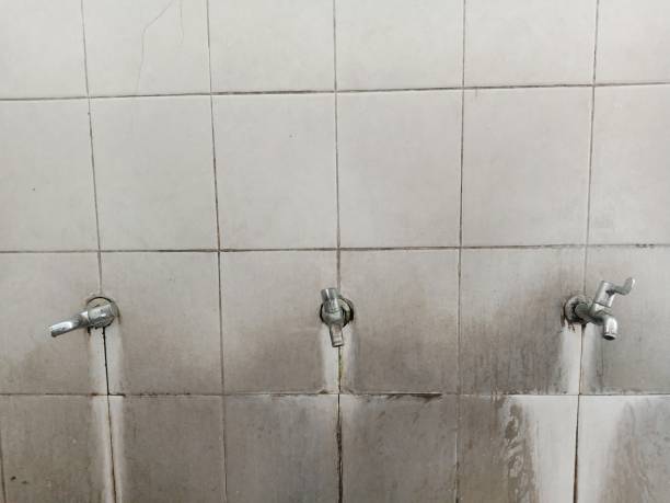 Best Water damage restoration process  in Pine, AZ