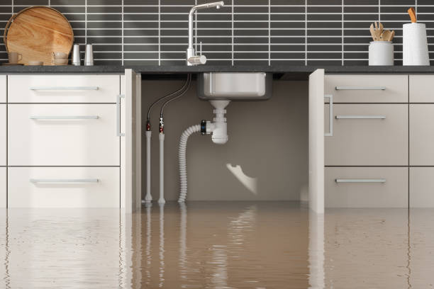 Best Carpet water damage restoration  in Pine, AZ