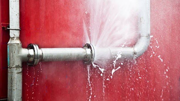 Best Fire Damage Restoration  in Pine, AZ